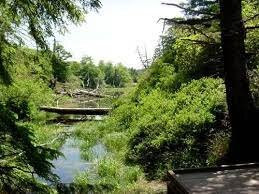 Mike Miller County Park