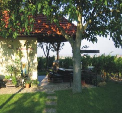 托祖姆斯泰格瓦尔德酒店-官方