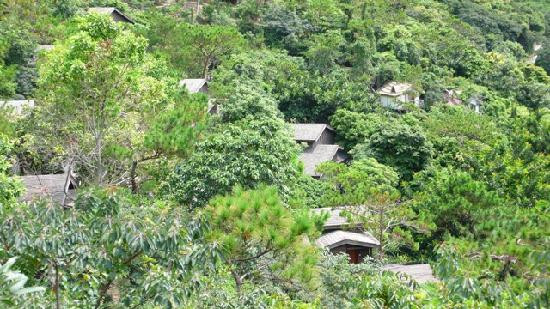 青青世界酒店主图