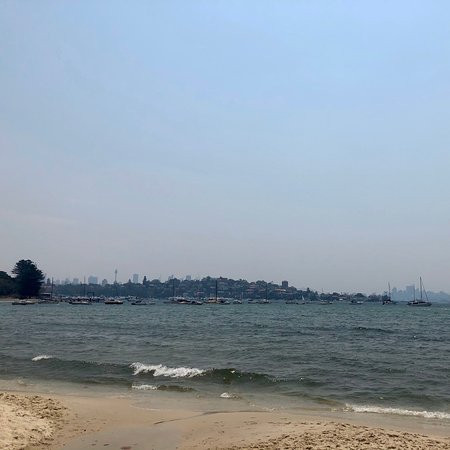 Rose Bay Beach景点图片