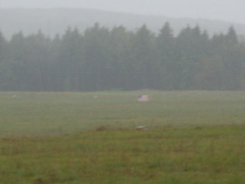 Ellerslie旅游攻略图片