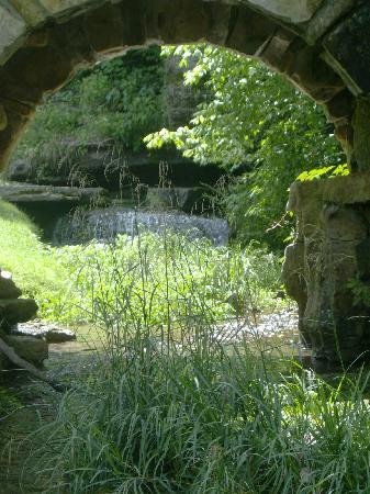 Dogwood Canyon Nature Park-Lampe必去景点