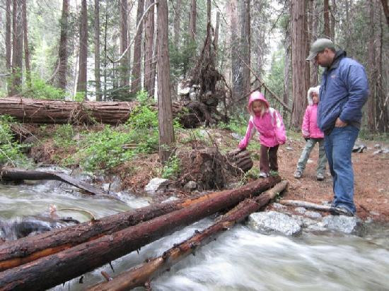 Kings Canyon-红杉&国王峡谷国家公园必去景点