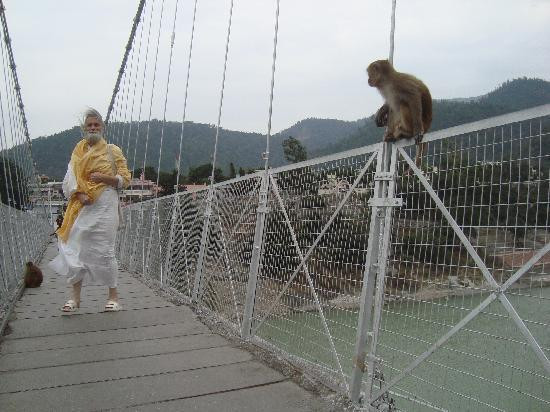 Lakshman Jhula Bridge景点图片