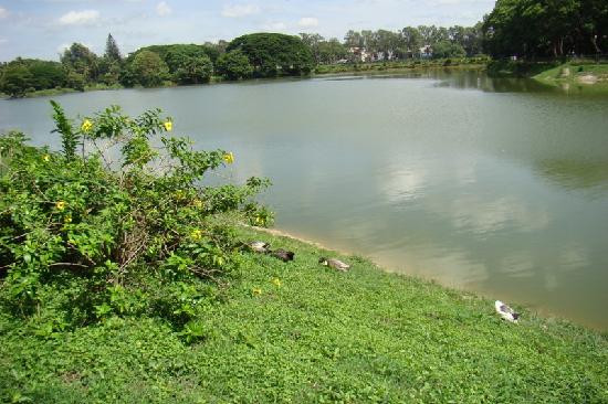 Lalbagh Botanical Garden景点图片