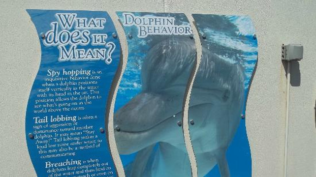 Marineland Dolphin Adventure-Marineland必去景点