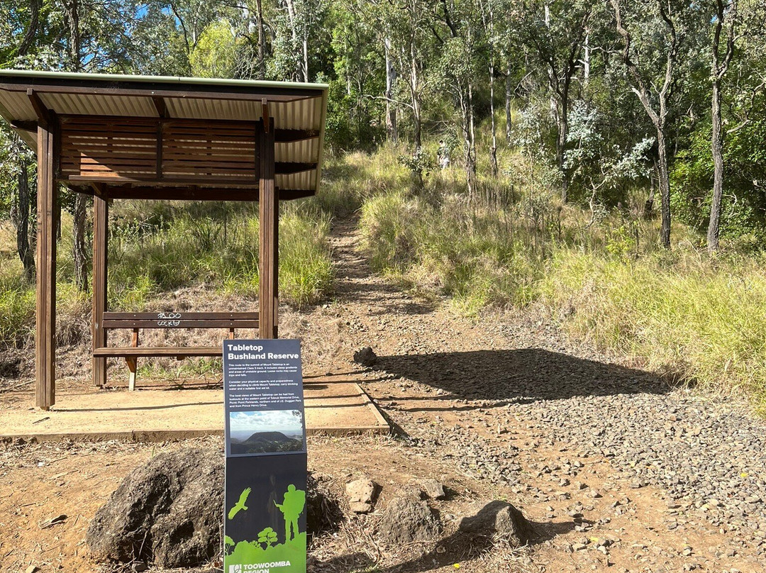 Table Top Mountain-图沃柏必去景点