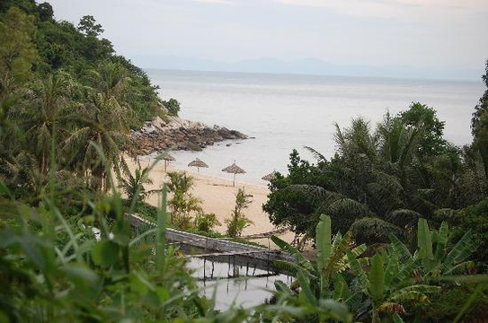 Cham Island Diving-会安必去景点