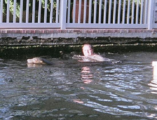 Theater of the Sea-伊斯拉摩拉达必去景点