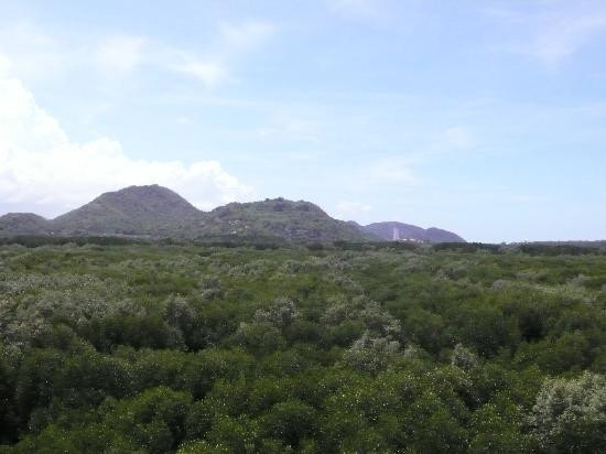 华欣自行车之旅-华欣必去景点