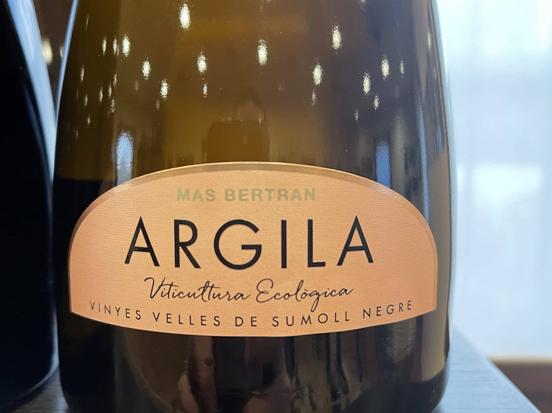 Mas Bertran-Sant Marti Sarroca必去景点