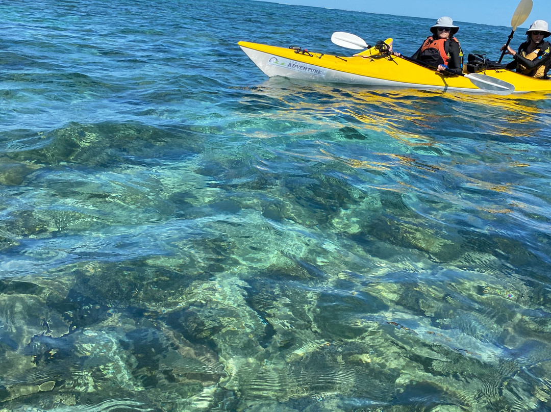 Sea Kayak Jervis Bay景点图片