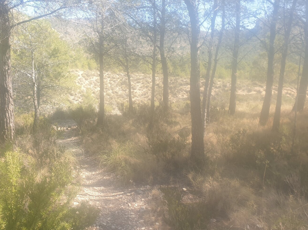 Barranco del Barbero景点图片