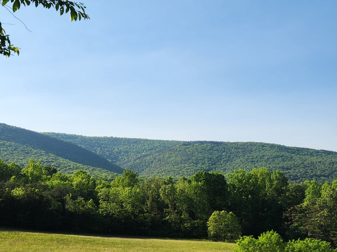 Pembroke Springs Retreat主图