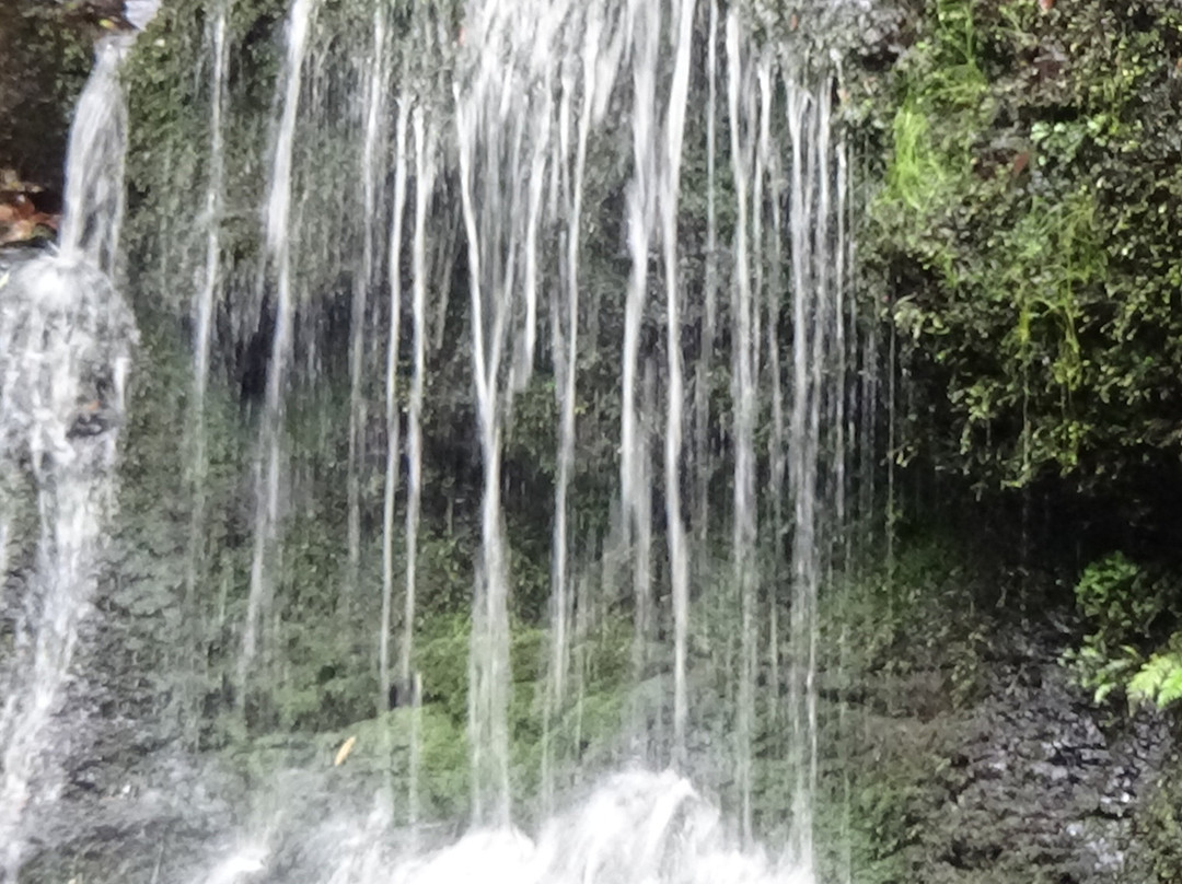 Henderson Falls景点图片