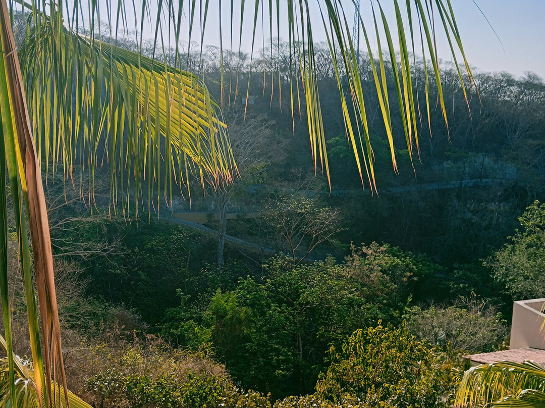 Grand Matlali Suites & Villas Riviera Nayarit主图