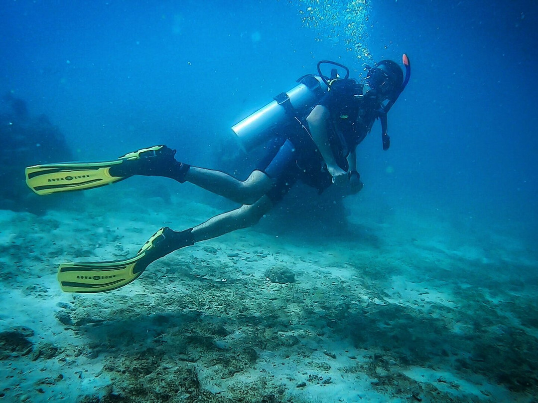 Dive Persia景点图片