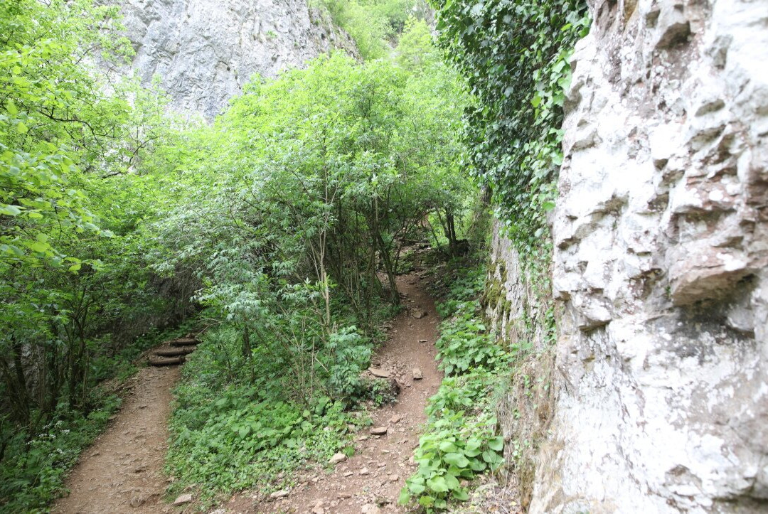Belvedere des Roches景点图片