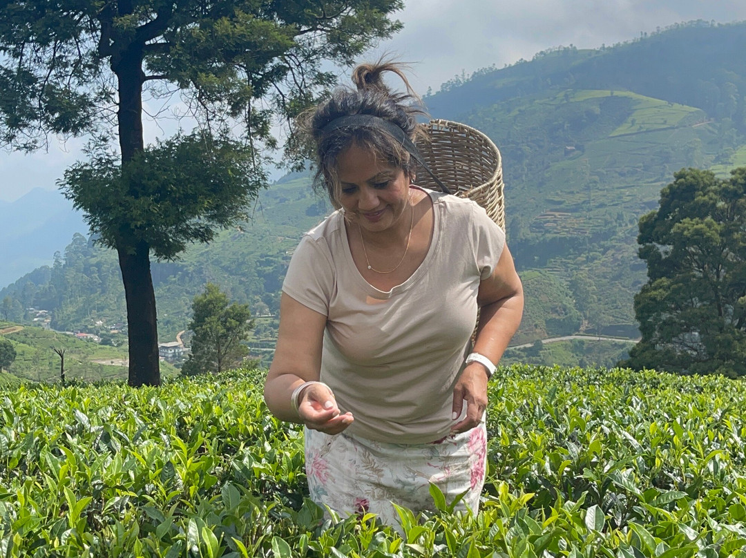 Tour Guide in Sri Lanka景点图片