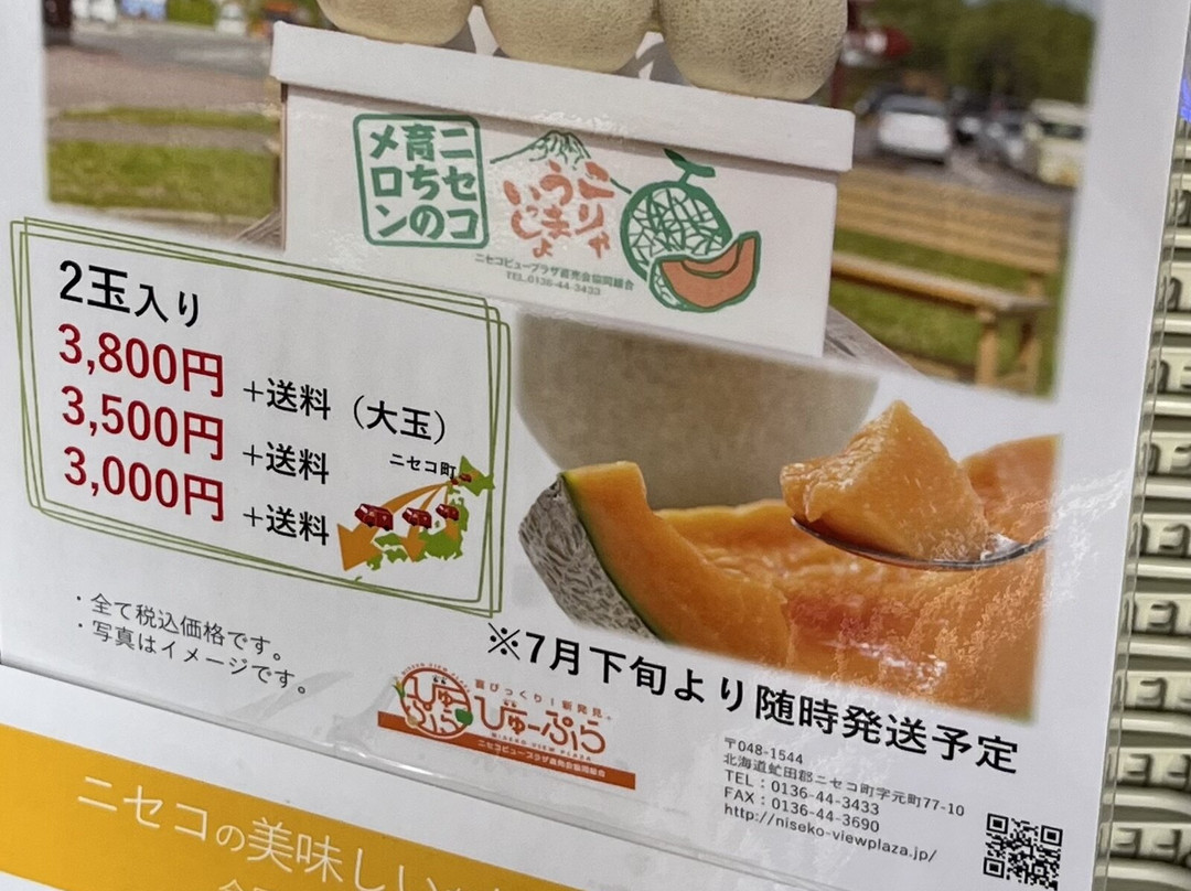 Michi-no-Eki Niseko View Plaza-二世谷町必去景点