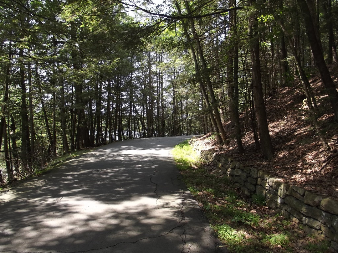 Scranton Lake Walking Path景点图片