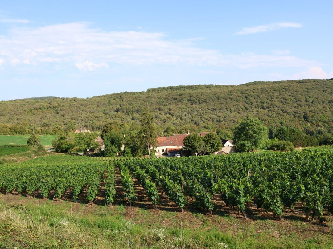 Site Archéologique de Chassey-le-camp景点图片