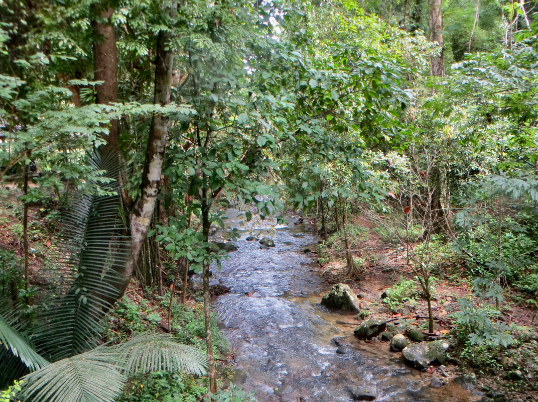 Lampi Waterfall-泰曼必去景点