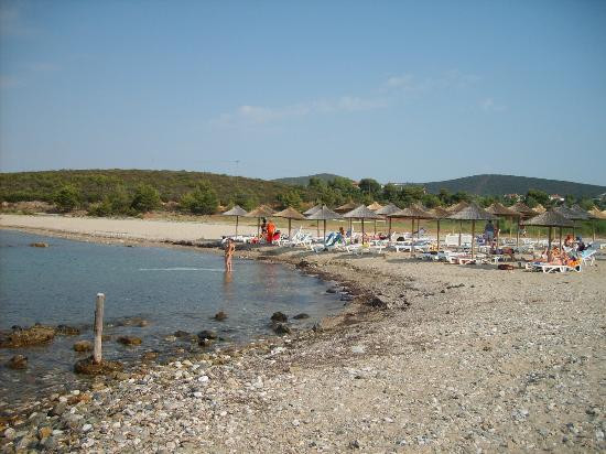 Metamorfosi Bungalows主图