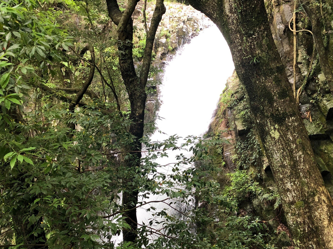 Kamadaru Kawazu Seven Waterfalls景点图片