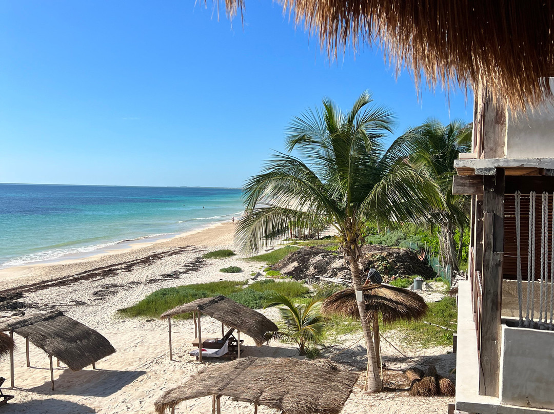 Amansala Yoga And Wellness Resort主图