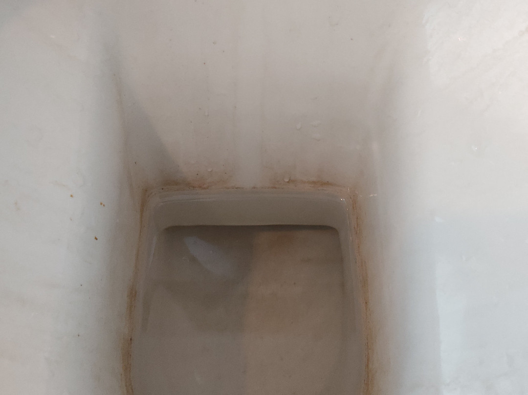 Cambay Grand, Kukas主图