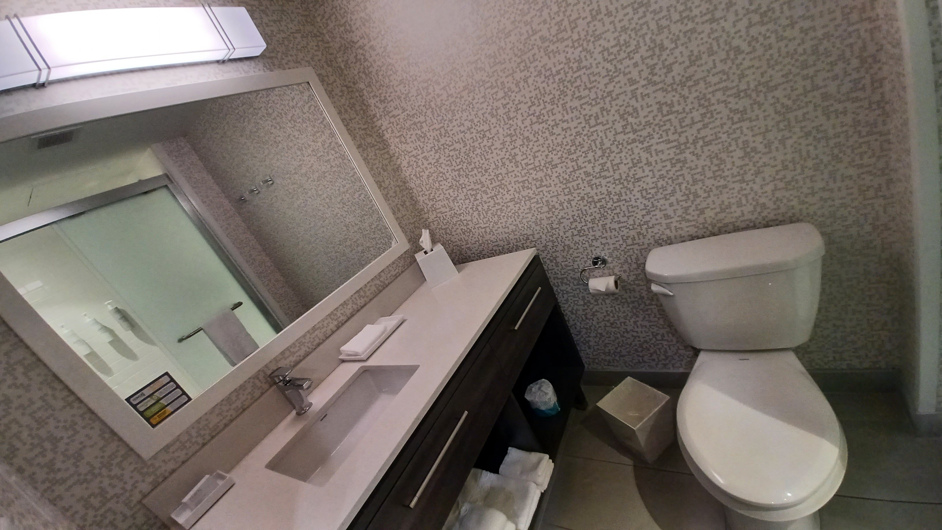 Home2 Suites By Hilton Quebec City-浴室