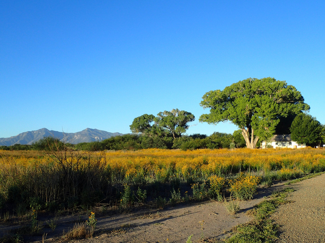 San Pedro Riparian National Conservation Area景点图片