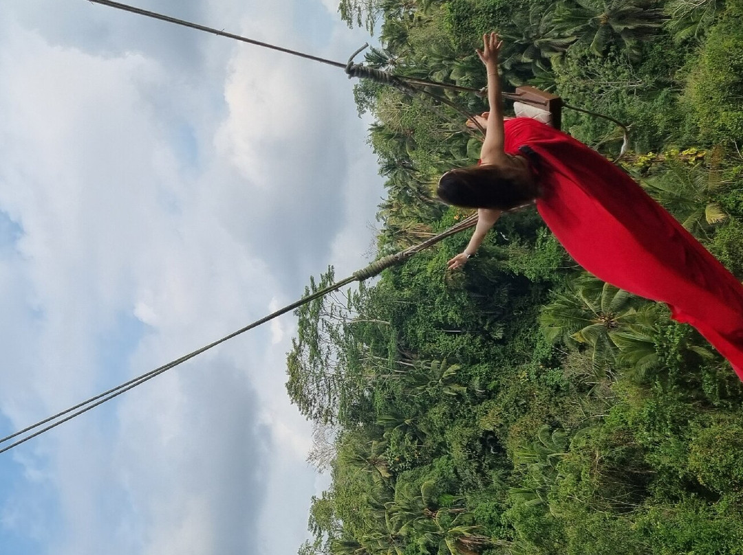 Picheaven Bali Swing-乌布必去景点