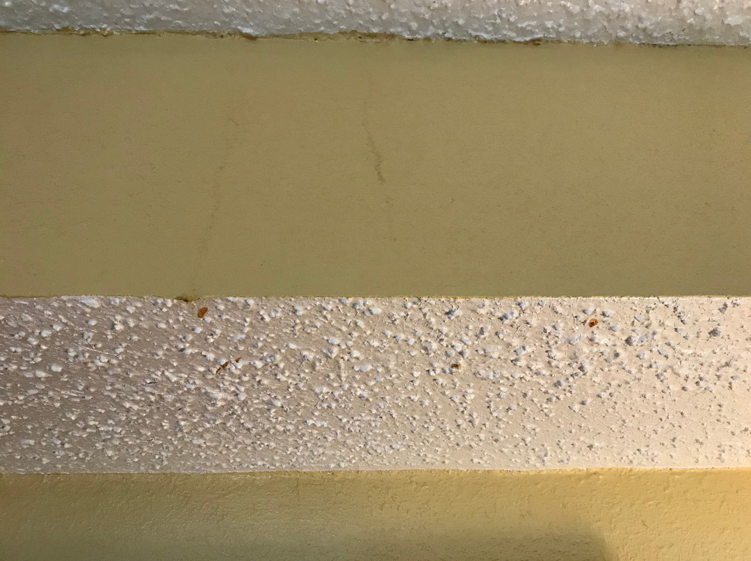 Howard Johnson by Wyndham Rocky Hill主图