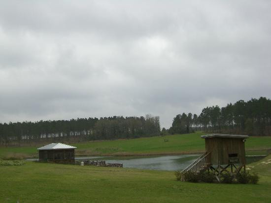 Quail Ridge Hunting Preserve景点图片