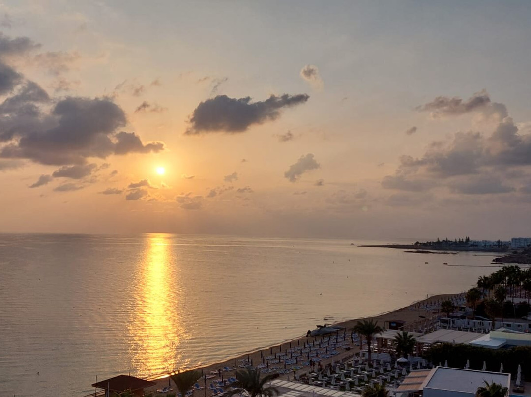 弗里萨基海滩酒店主图