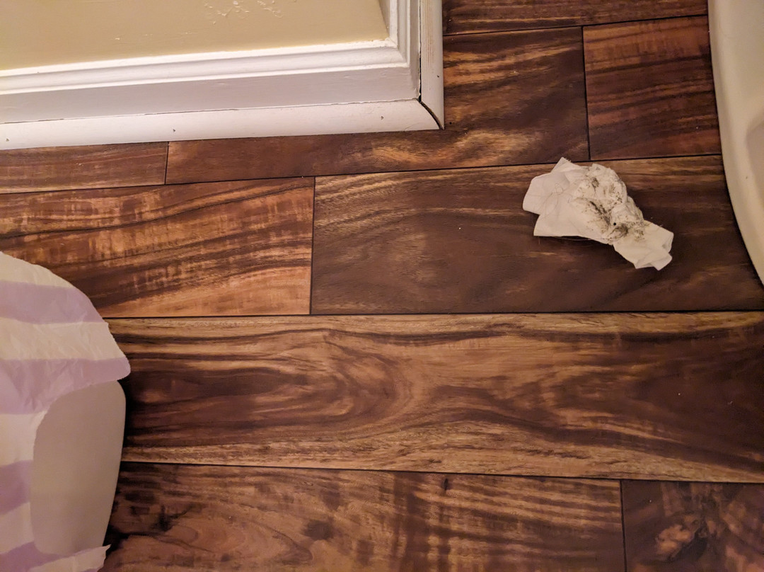 Munro House Bed & Breakfast and Spa主图