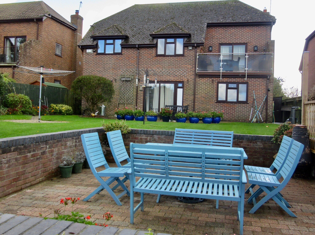 The Shimmerings主图