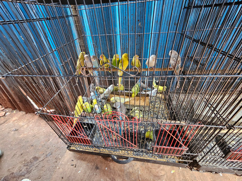 Showcase India Tourism Company-孟买必去景点