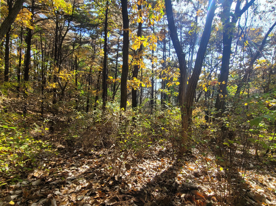 Jongjasan-抱川市必去景点