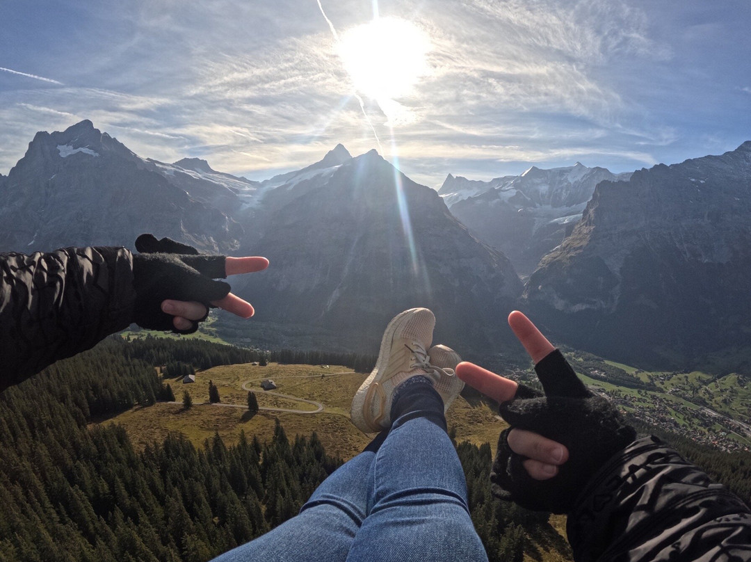 Paragliding Jungfrau景点图片