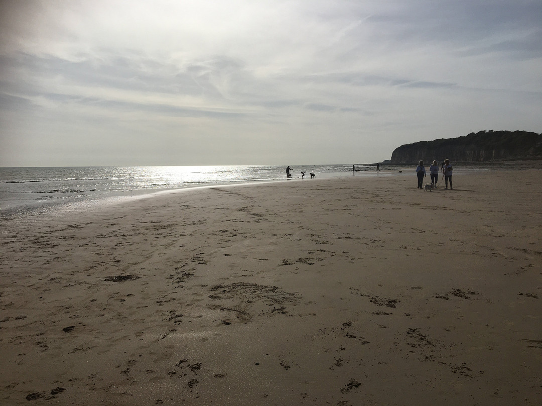 Pett Level Beach景点图片