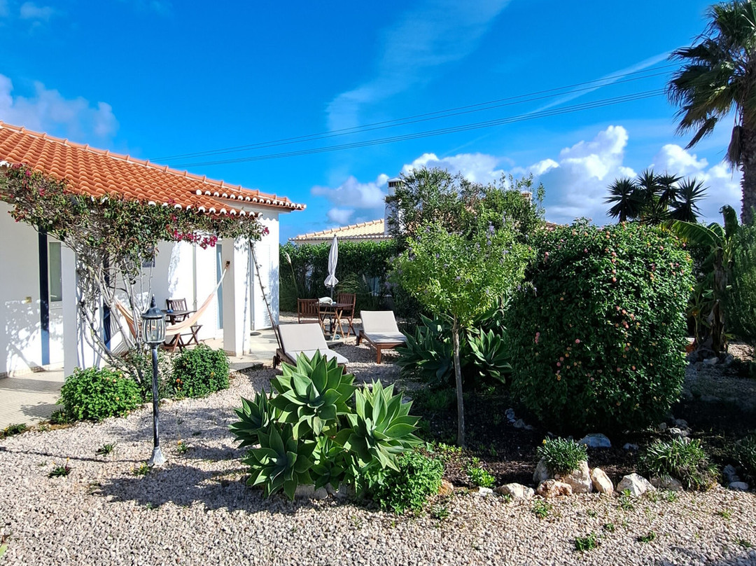 Onda Vicentina主图