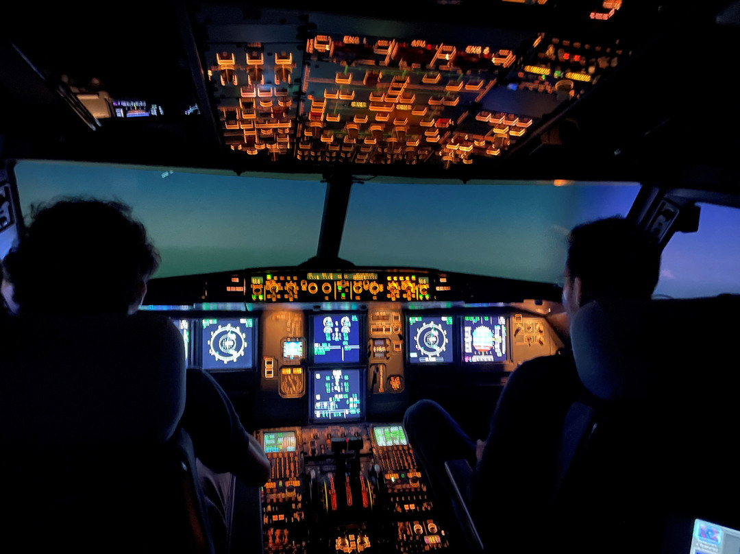 Full Flight Simulator Paris景点图片