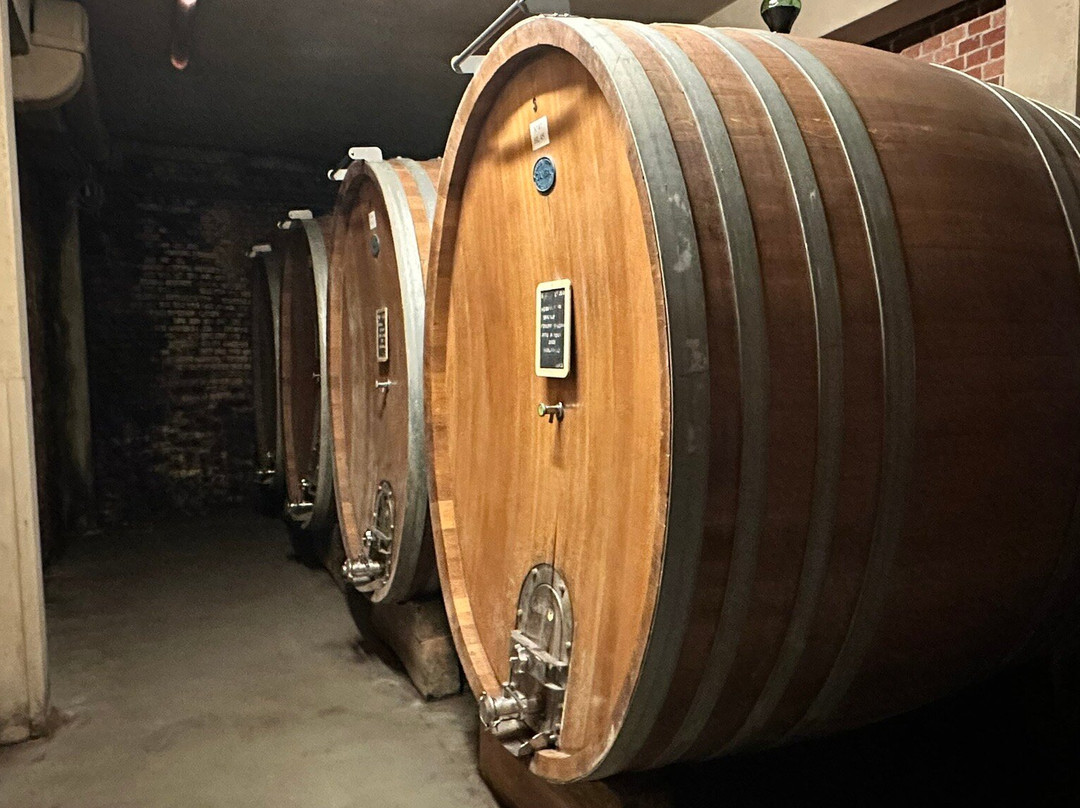 Cantina Giacomo Borgogno e Figli景点图片