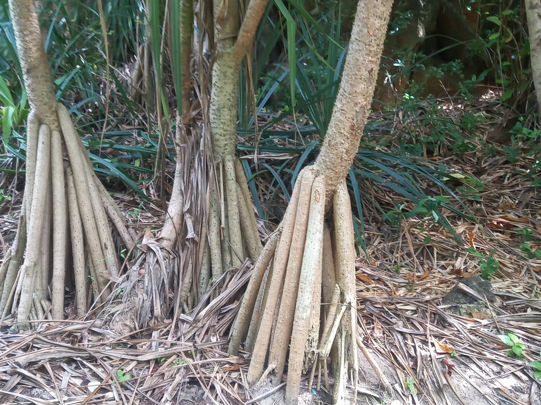 Freedom Beach-涛岛必去景点