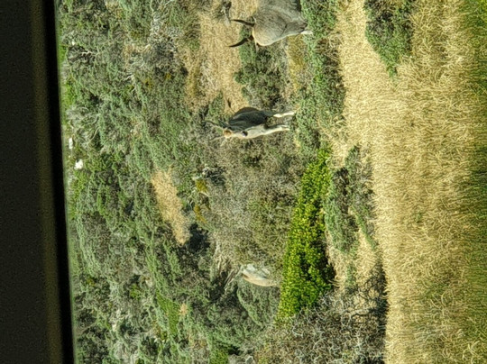 Kenzi Travel & Tours-开普敦中心区必去景点