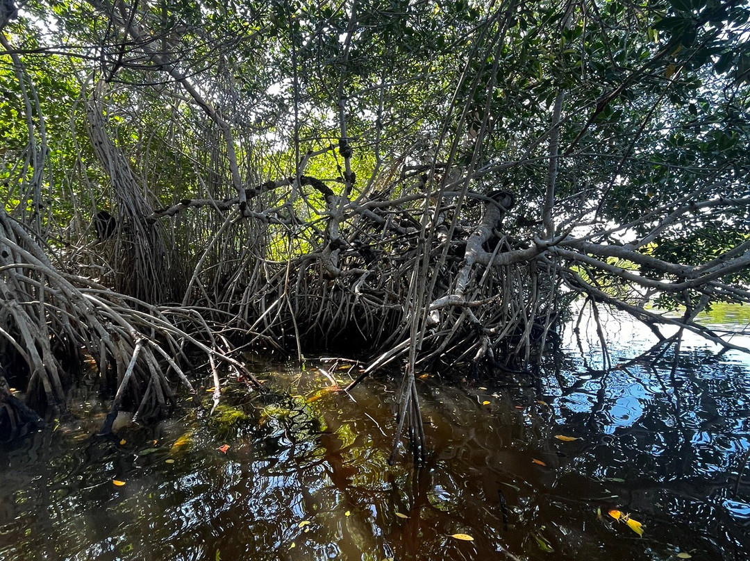 Guía de Naturaleza Uriel Massa景点图片