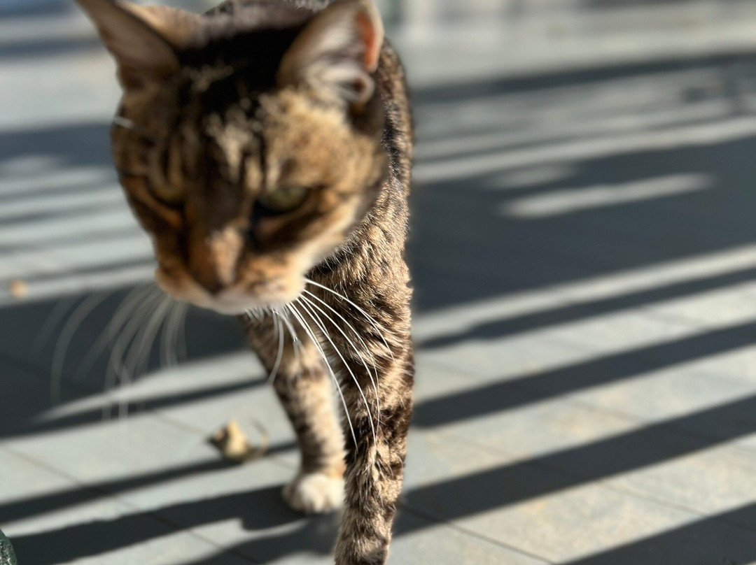 The Rosemary House Lodging and Events主图